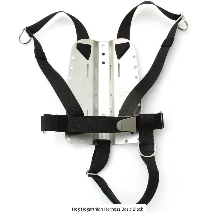 HOG Hogarthian Harness Basic Black